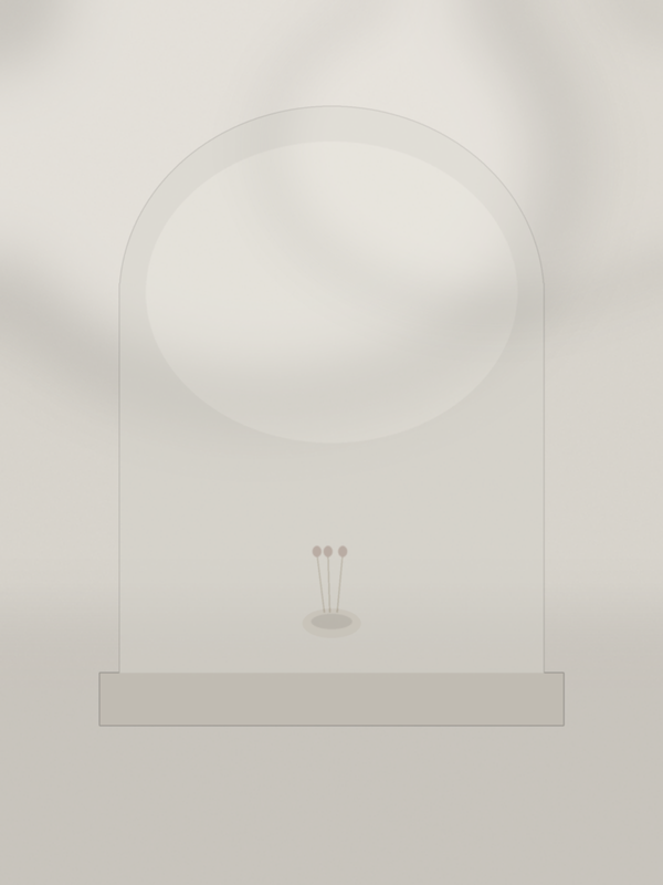 Soft Lifestyle — Stone Niche
