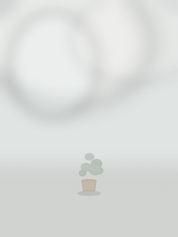 Soft Lifestyle — Window Plant